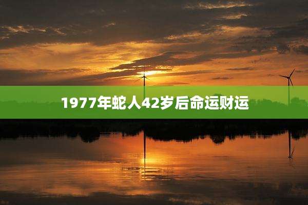 1977年蛇人42岁后命运财运