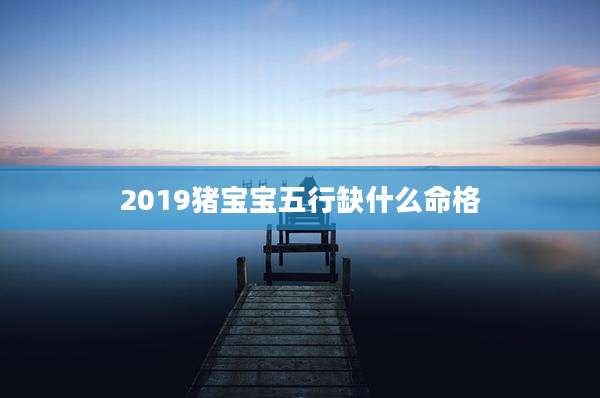 2019猪宝宝五行缺什么命格