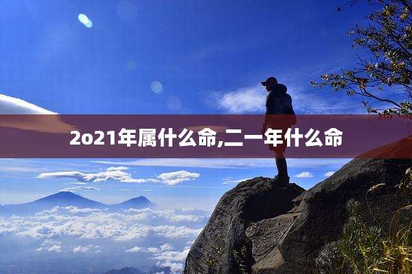 2o21年属什么命,二一年什么命