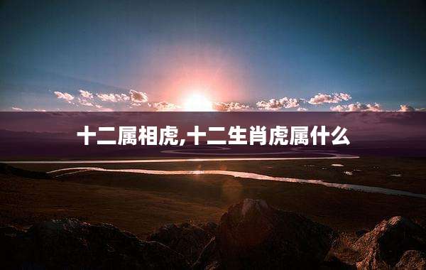 十二属相虎,十二生肖虎属什么