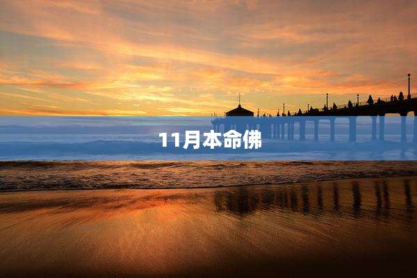 11月本命佛