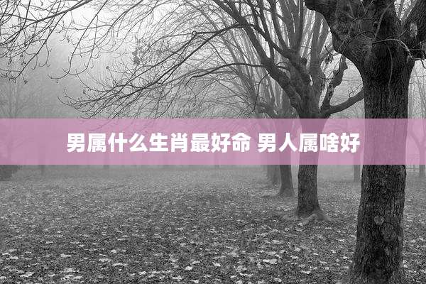 男属什么生肖最好命 男人属啥好