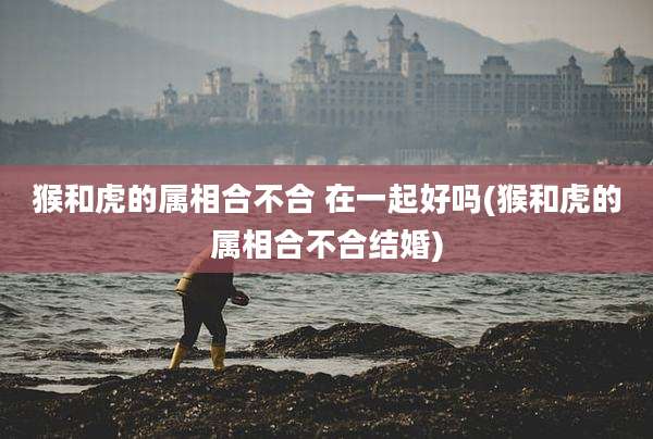 猴和虎的属相合不合 在一起好吗(猴和虎的属相合不合结婚)