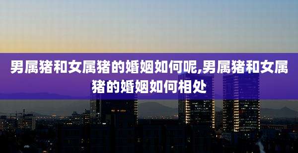 男属猪和女属猪的婚姻如何呢,男属猪和女属猪的婚姻如何相处