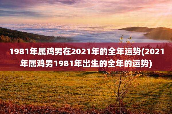 1981年属鸡男在2021年的全年运势(2021年属鸡男1981年出生的全年的运势)