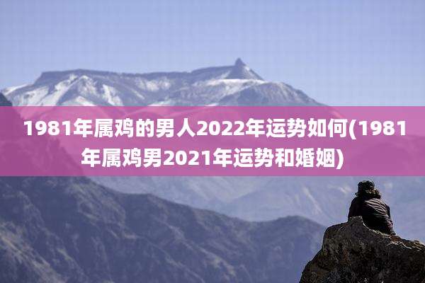 1981年属鸡的男人2022年运势如何(1981年属鸡男2021年运势和婚姻)
