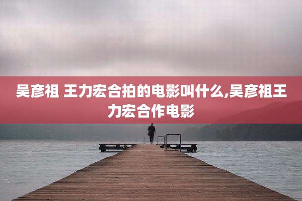 吴彦祖 王力宏合拍的电影叫什么,吴彦祖王力宏合作电影