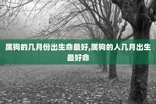 属狗的几月份出生命最好,属狗的人几月出生最好命