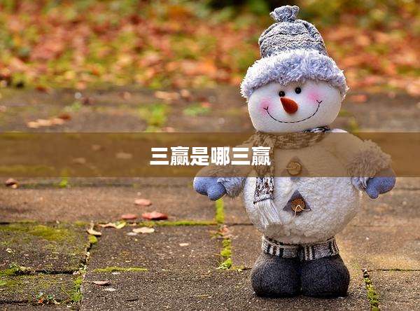 三赢是哪三赢