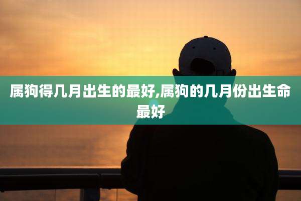 属狗得几月出生的最好,属狗的几月份出生命最好
