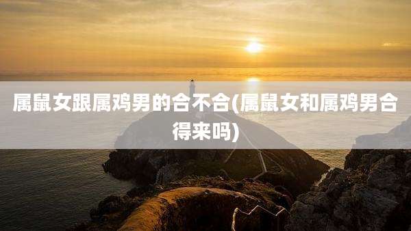 属鼠女跟属鸡男的合不合(属鼠女和属鸡男合得来吗)