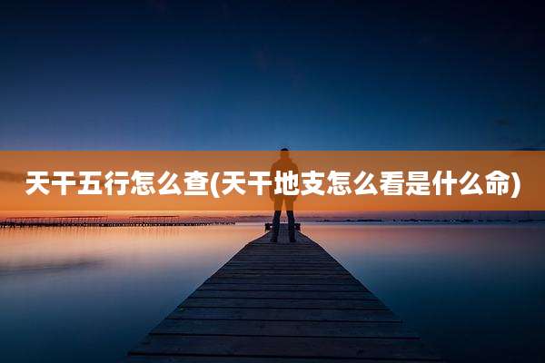 天干五行怎么查(天干地支怎么看是什么命)