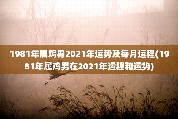 1981年属鸡男2021年运势及每月运程(1981年属鸡男在2021年运程和运势)