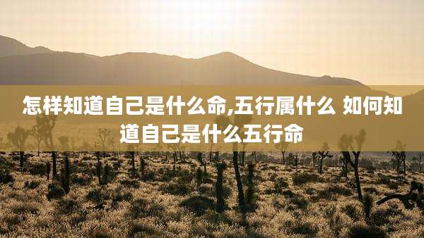 怎样知道自己是什么命,五行属什么 如何知道自己是什么五行命
