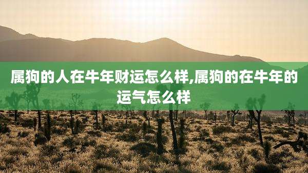 属狗的人在牛年财运怎么样,属狗的在牛年的运气怎么样