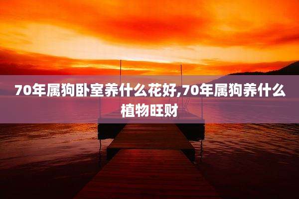 70年属狗卧室养什么花好,70年属狗养什么植物旺财