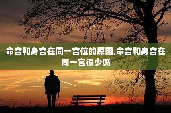 命宫和身宫在同一宫位的原因,命宫和身宫在同一宫很少吗