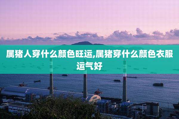 属猪人穿什么颜色旺运,属猪穿什么颜色衣服运气好