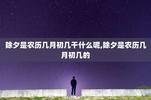 除夕是农历几月初几干什么呢,除夕是农历几月初几的