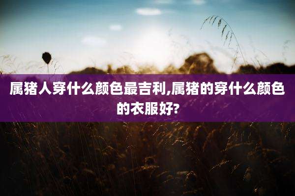 属猪人穿什么颜色最吉利,属猪的穿什么颜色的衣服好?
