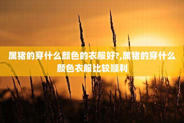 属猪的穿什么颜色的衣服好?,属猪的穿什么颜色衣服比较顺利