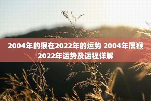 2004年的猴在2022年的运势 2004年属猴2022年运势及运程详解