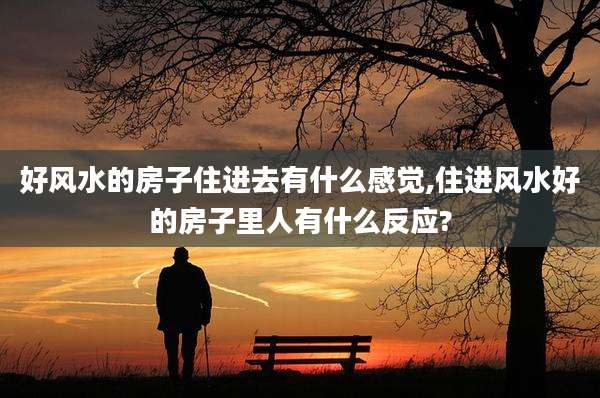 好风水的房子住进去有什么感觉,住进风水好的房子里人有什么反应?