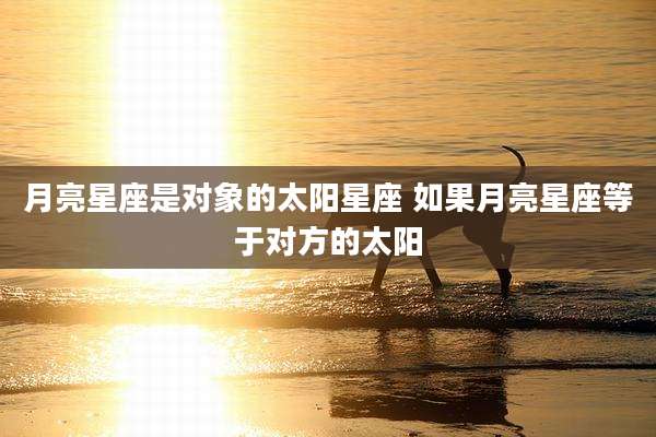 月亮星座是对象的太阳星座 如果月亮星座等于对方的太阳