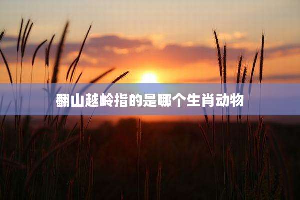 翻山越岭指的是哪个生肖动物