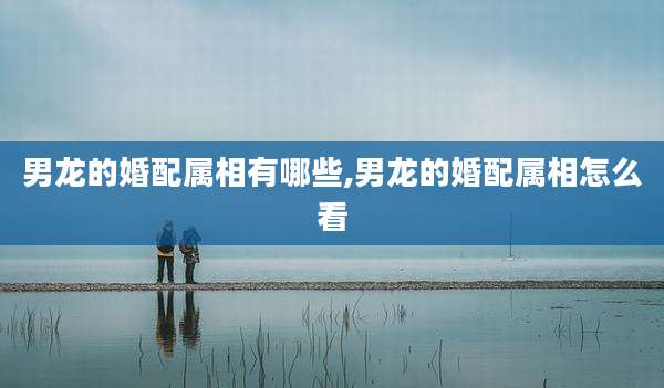 男龙的婚配属相有哪些,男龙的婚配属相怎么看