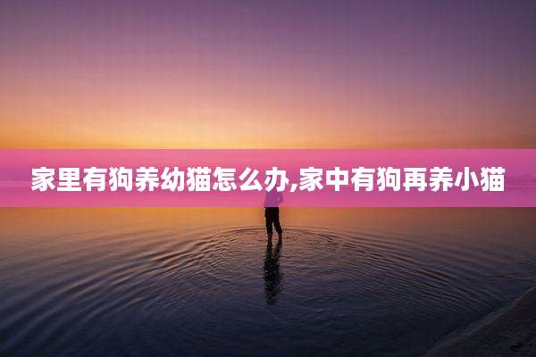 家里有狗养幼猫怎么办,家中有狗再养小猫