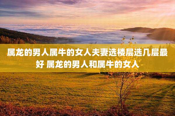 属龙的男人属牛的女人夫妻选楼层选几层最好 属龙的男人和属牛的女人