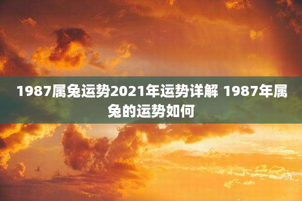 1987属兔运势2021年运势详解 1987年属兔的运势如何