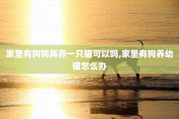 家里有狗狗再养一只猫可以吗,家里有狗养幼猫怎么办
