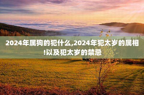 2024年属狗的犯什么,2024年犯太岁的属相!以及犯太岁的禁忌