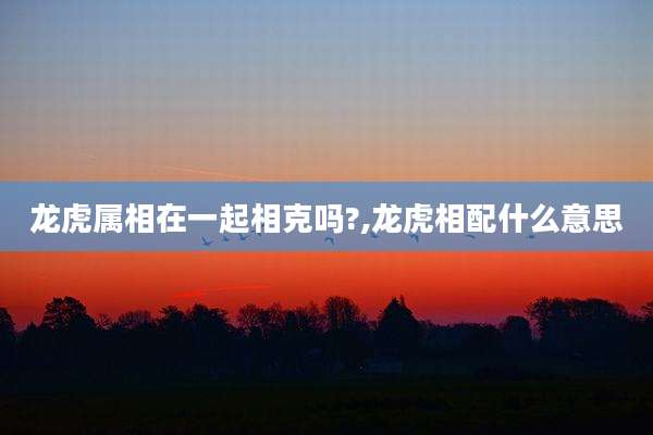 龙虎属相在一起相克吗?,龙虎相配什么意思