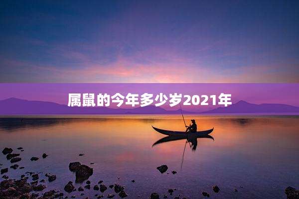 属鼠的今年多少岁2021年