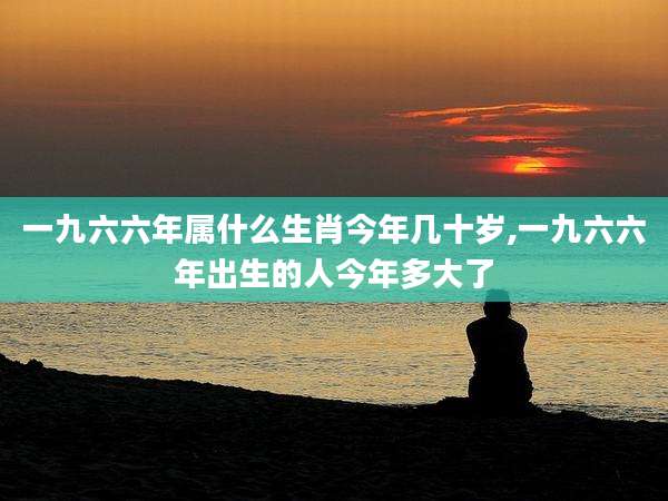 一九六六年属什么生肖今年几十岁,一九六六年出生的人今年多大了