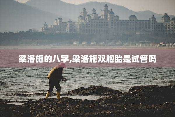 梁洛施的八字,梁洛施双胞胎是试管吗