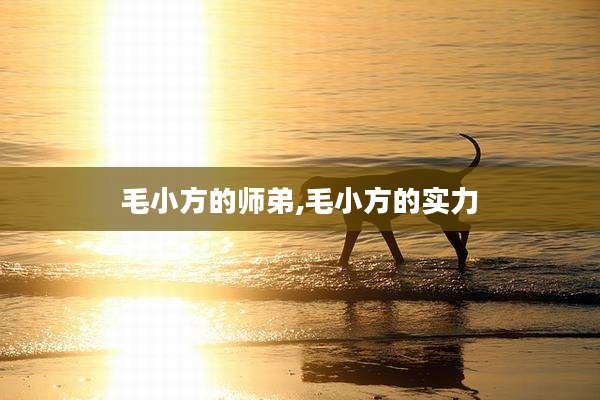 毛小方的师弟,毛小方的实力