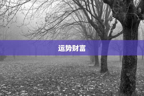运势财富