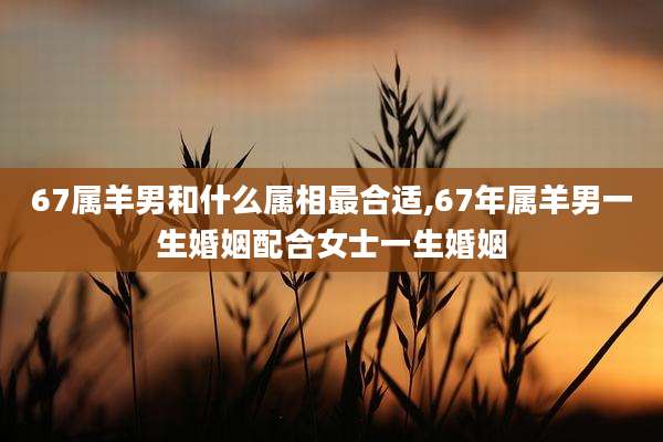 67属羊男和什么属相最合适,67年属羊男一生婚姻配合女士一生婚姻