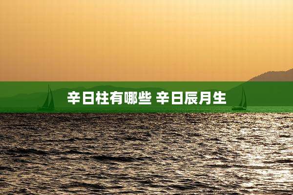 辛日柱有哪些 辛日辰月生