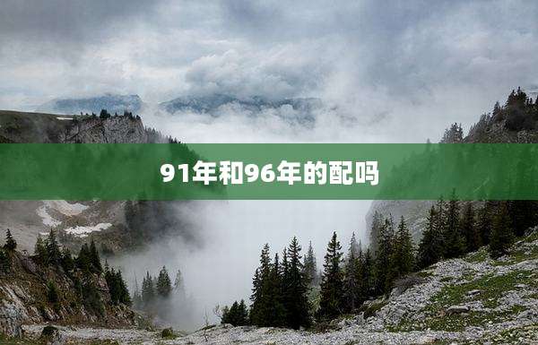 91年和96年的配吗