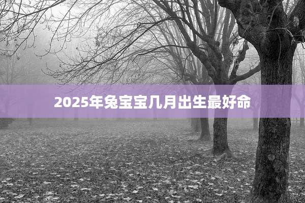 2025年兔宝宝几月出生最好命