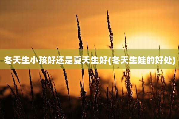 冬天生小孩好还是夏天生好(冬天生娃的好处)