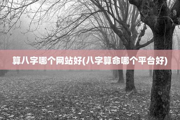 算八字哪个网站好(八字算命哪个平台好)