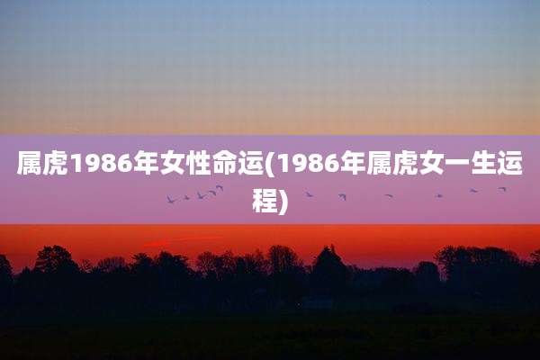 属虎1986年女性命运(1986年属虎女一生运程)
