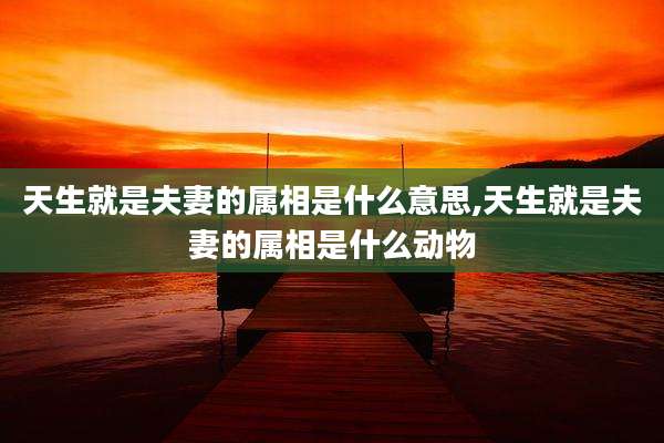 天生就是夫妻的属相是什么意思,天生就是夫妻的属相是什么动物