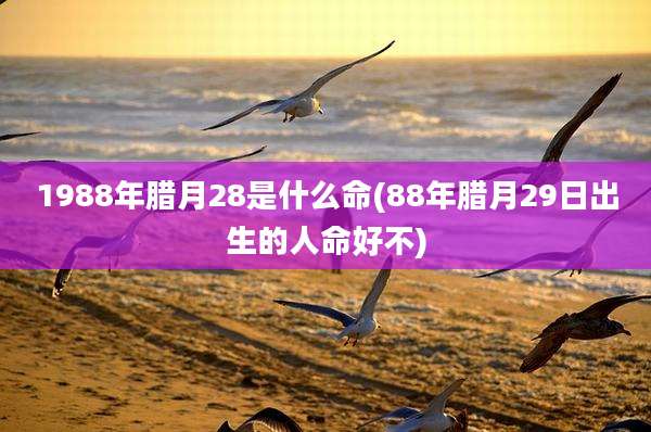 1988年腊月28是什么命(88年腊月29日出生的人命好不)